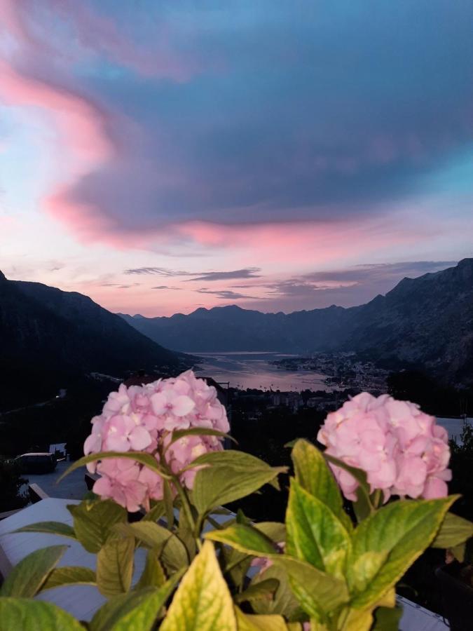Apartmani Vasilije Kotor Bagian luar foto